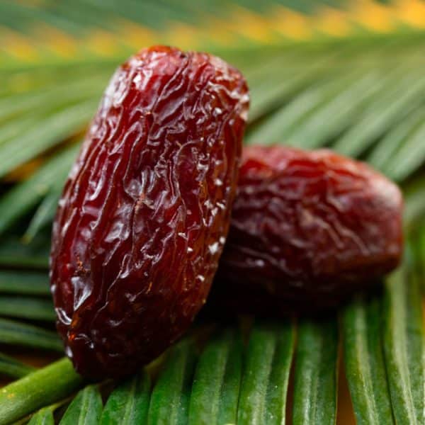 shahani dates